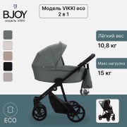 BJOY VIKKI LT